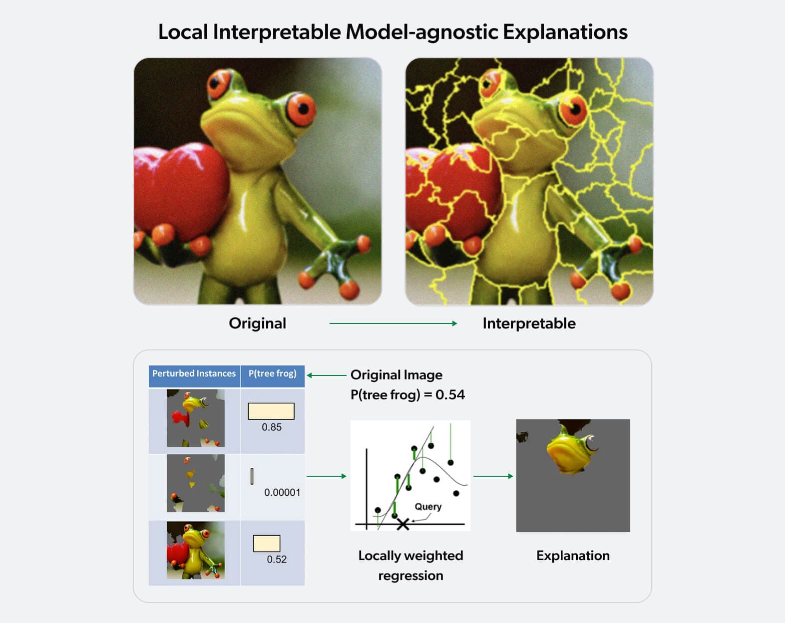 Local Interpretable Model-agnostic Explanations