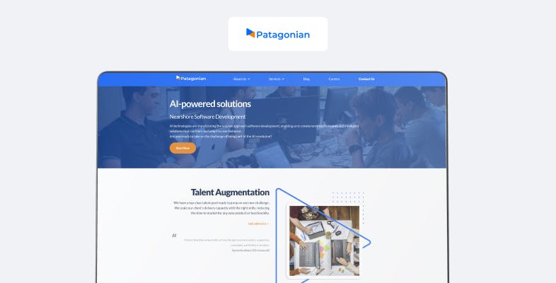 Patagonian software website