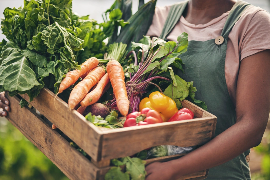 Building a solid foundation for better farm-to-table business
