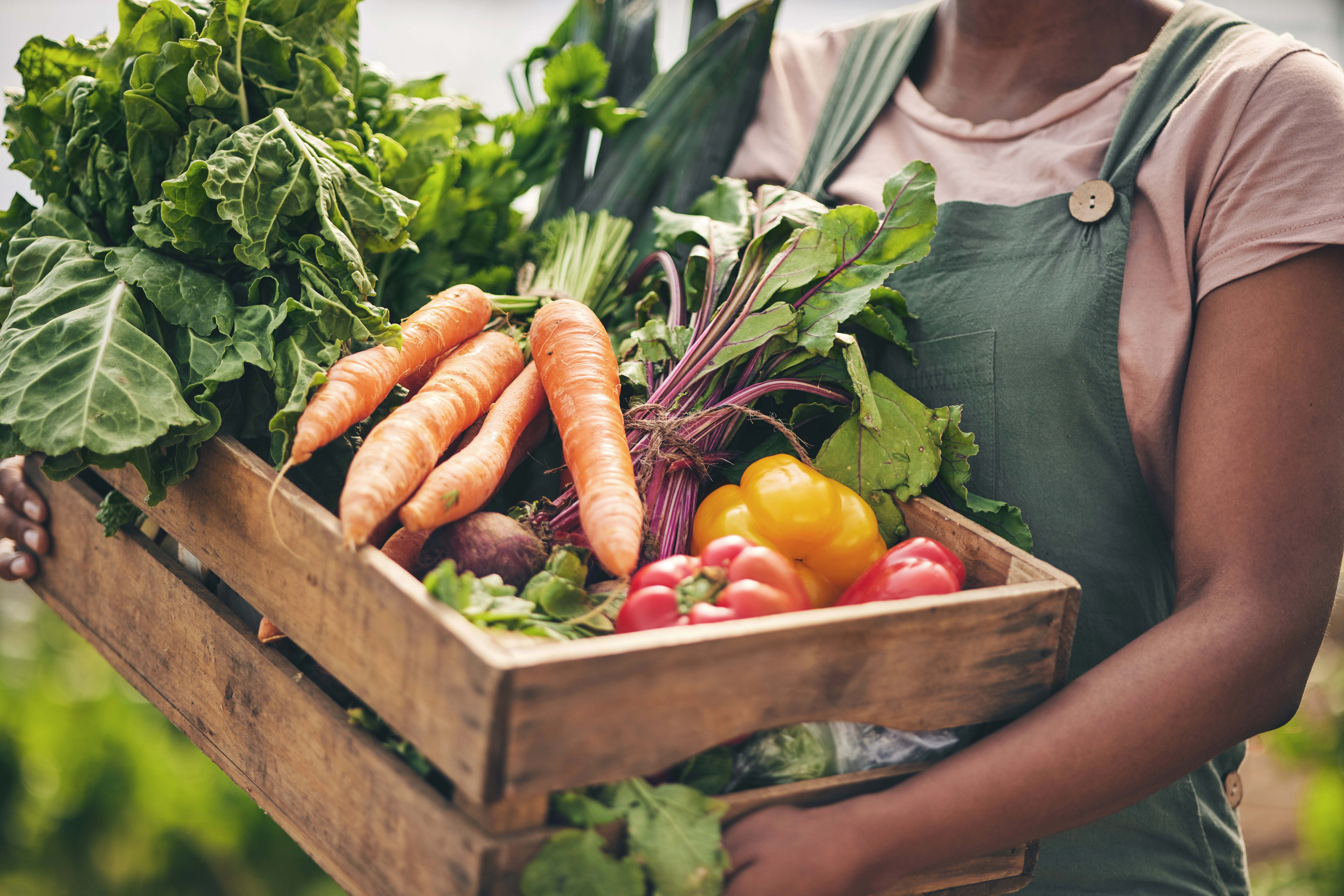Building a solid foundation for better farm-to-table business